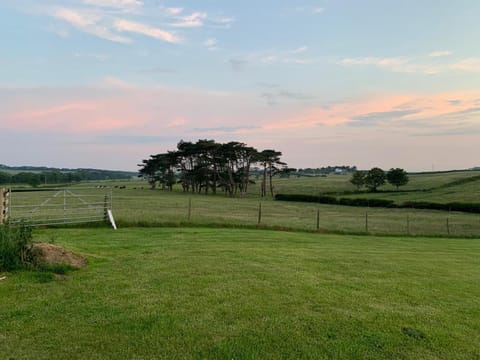 Butterfly Cabin Cabin in Copeland District