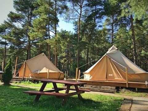 Slowly Glamping Osada Nad Wodą Luxury tent in West Pomeranian Voivodeship, Poland