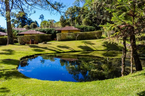 Natural landscape