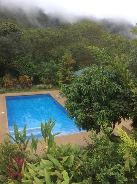 Natural landscape, On site, Pool view