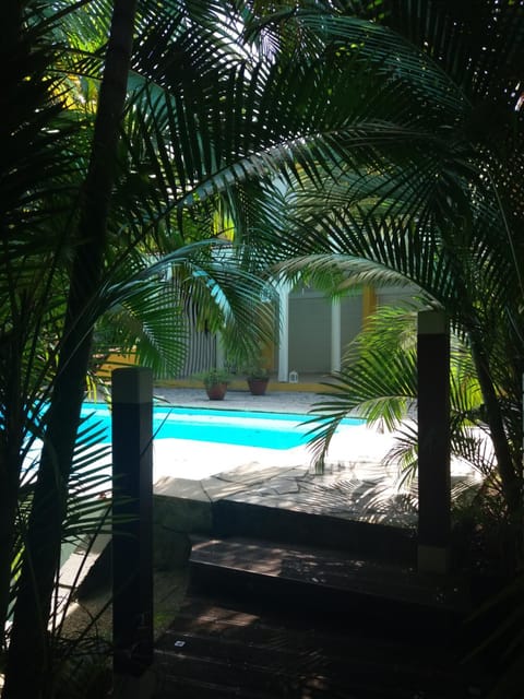 Pool view, Swimming pool, sunbed