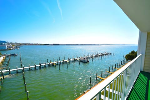 Thunder Island 80B condo Apartment in Ocean City