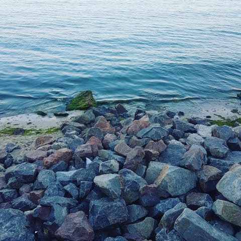 Bird's eye view, Sea view