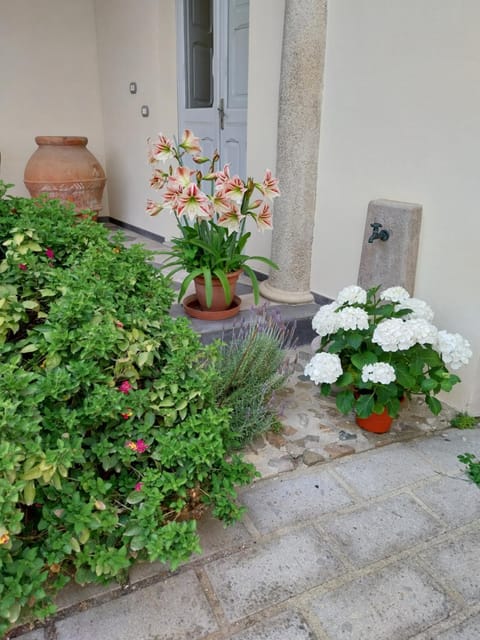 Villa Mostallino Bed and Breakfast in Sardinia