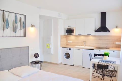 Dolmen Adrien 2 Apartment in Tours