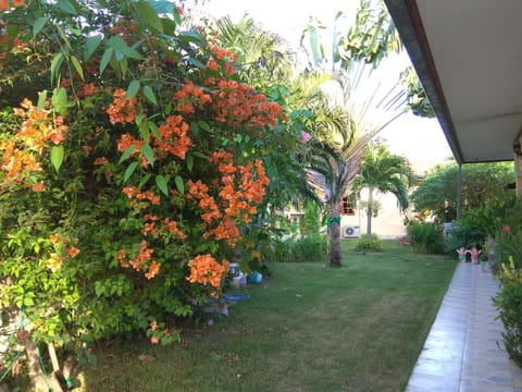 Spring, Day, Garden, Garden view