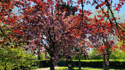 Le tulipier House in Normandy