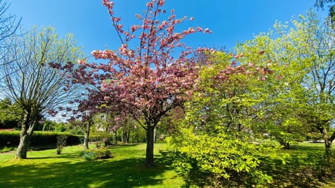 Le tulipier House in Normandy