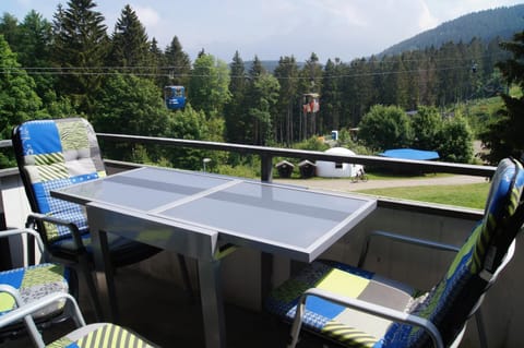 Balcony/Terrace, Mountain view