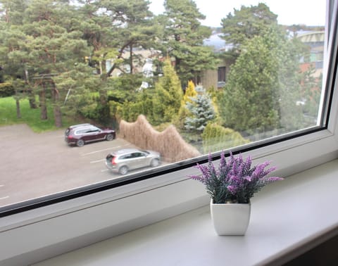 Poilsis prie Jūros Apartment in Palanga