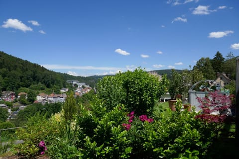 View (from property/room), Mountain view
