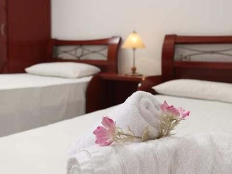 Villa Anna Apartment in Chaniotis