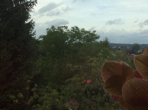 cicha przystan Apartment in West Pomeranian Voivodeship, Poland