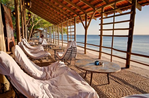 Natural landscape, View (from property/room), Lounge or bar, Seating area, Beach, Beach
