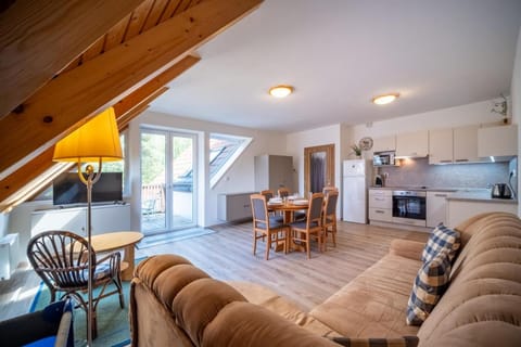 Kitchen or kitchenette, Living room, Seating area, Dining area, oven, stove