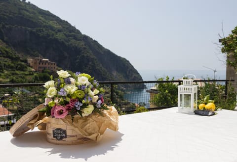 Balcony/Terrace, Garden view