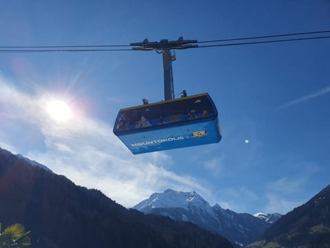 Apart Edelhof Apartment in Mayrhofen