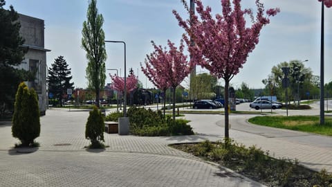 Artystyczna przestrzeń przy Zabytkowym Dworcu Apartment in Pomeranian Voivodeship