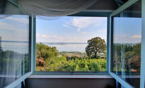 Lake view