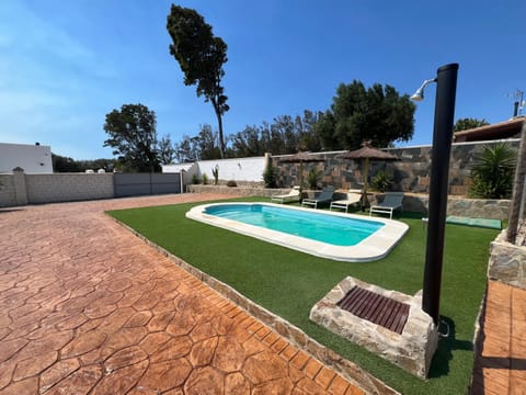 Garden, Swimming pool, sunbed