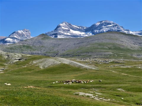 Natural landscape