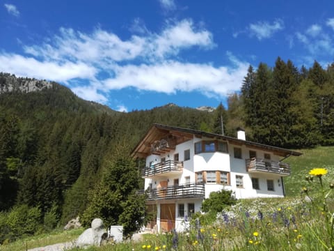 Property building, Mountain view