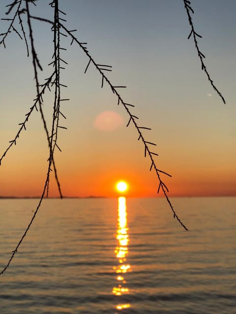 Apartman Lili Apartment in Zadar County