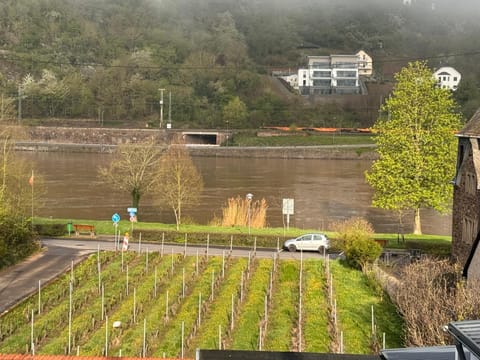 Hakans Moselblick Ferienwohnung Apartment in Cochem-Zell