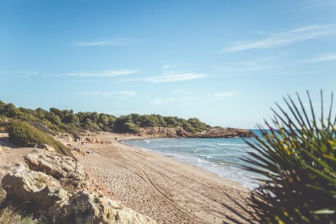 Natural landscape, Beach, Hiking