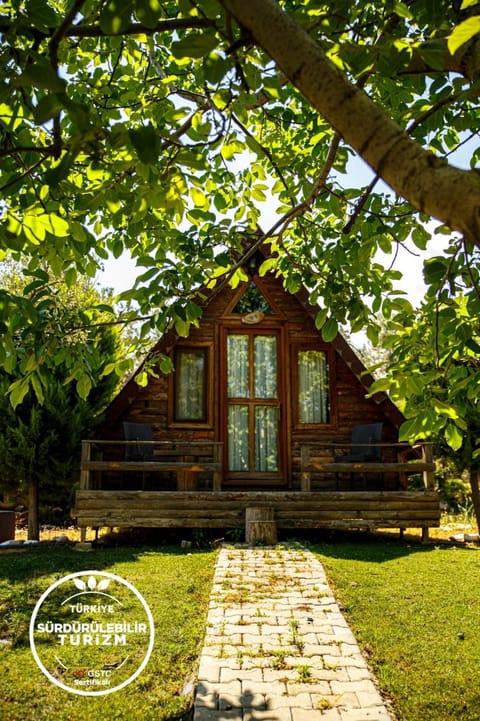 Property building, Garden, Garden view