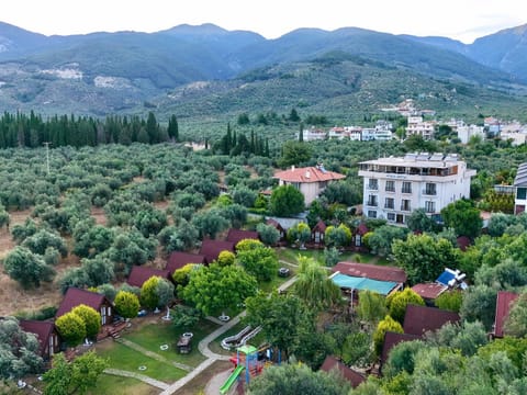 Property building, Garden, Garden view