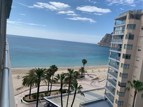 Property view