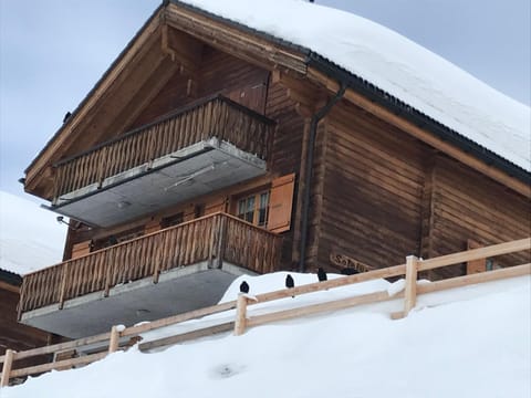 Property building, Winter