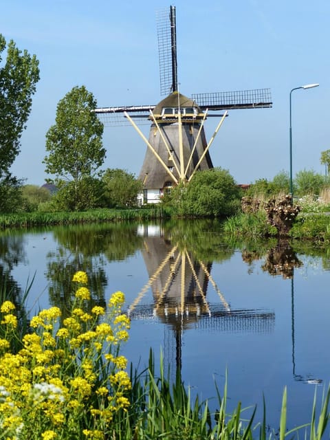 River view