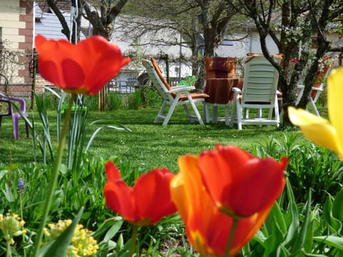 BBQ facilities, Garden