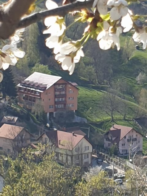 Property building, Bird's eye view