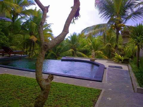 Garden, Swimming pool