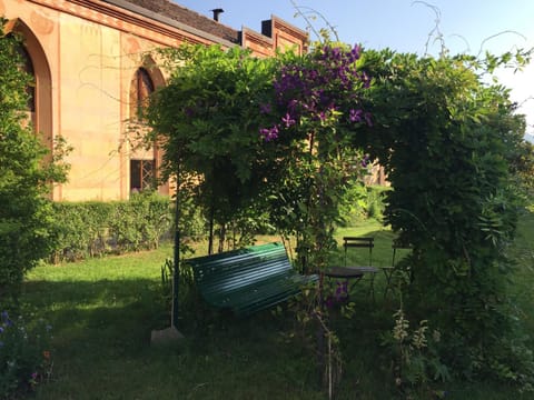 Spring, Garden, Garden view