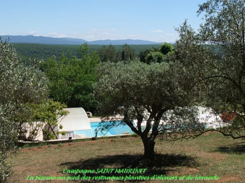 Garden, Pool view, Swimming pool