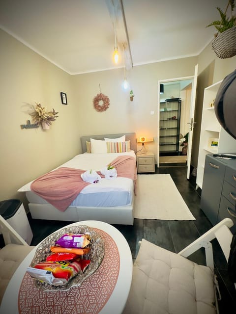 Private Place to Stay self check in-nonstop- NETFLIX-WIFI Apartment in Timiș County