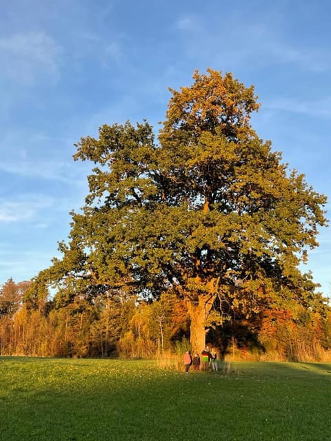 Ferienwohnung Florina Apartment in Salzburgerland