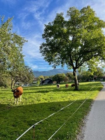 Ferienwohnung Florina Apartment in Salzburgerland