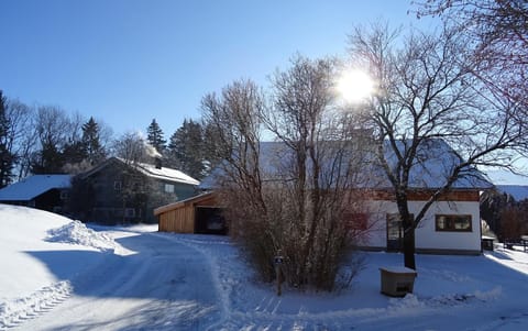 Ferienwohnung Florina Apartment in Salzburgerland