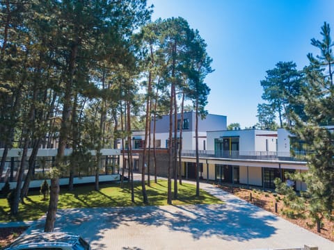 Property building, Natural landscape, Garden, Garden view
