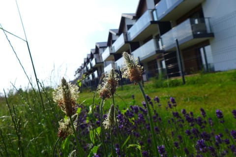 Property building, Spring, Day, View (from property/room)