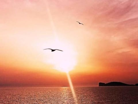 Natural landscape, Sunset