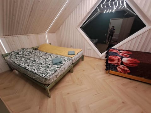 Lakefront house in Senoji Varėna Apartment in Vilnius County, Lithuania