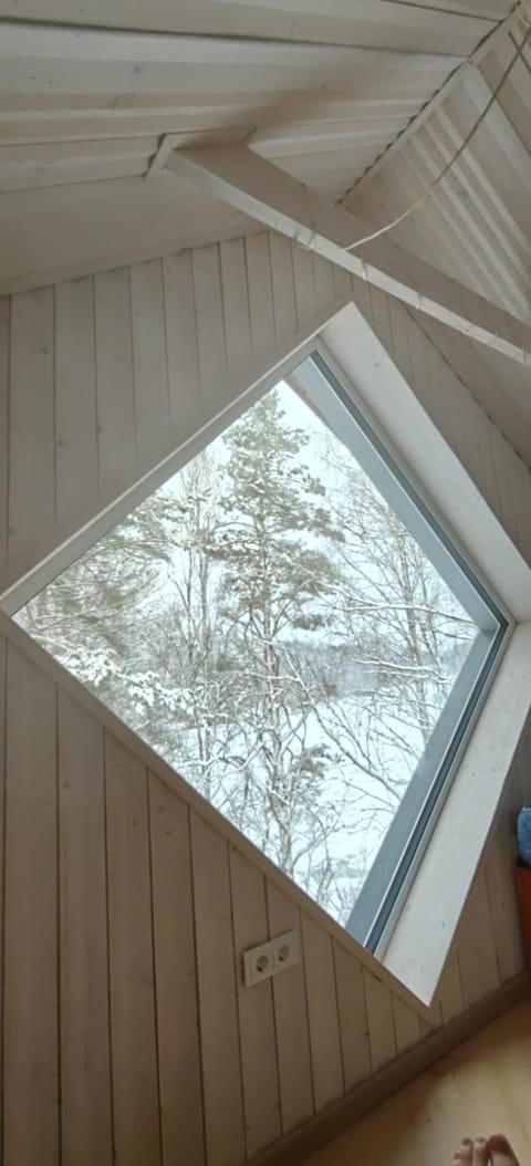 Lakefront house in Senoji Varėna Apartment in Vilnius County, Lithuania