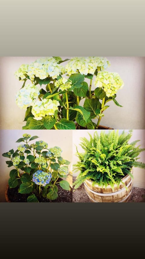 Il Quarzo A) B) Apartment in Sardinia