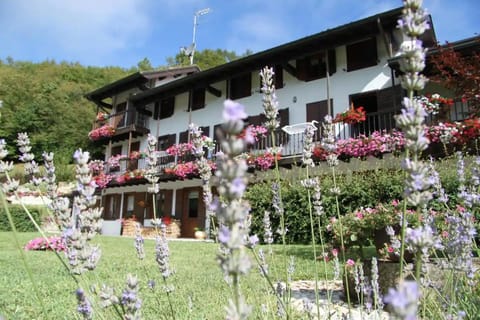 The Duck's Cottage Bed and Breakfast in Feltre